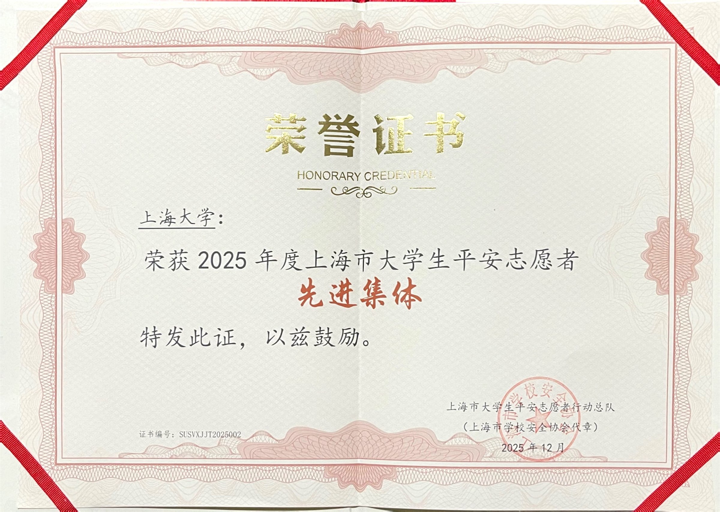 2025 年度上海市大学生平安志愿者先进集体